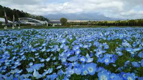 2019/05/16の写真