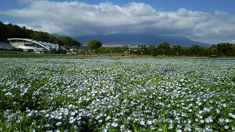 2019/05/23の写真