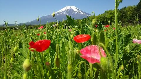 2019/05/25の写真