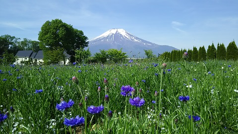 2019/05/27の写真