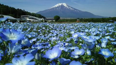 2019/05/27の写真