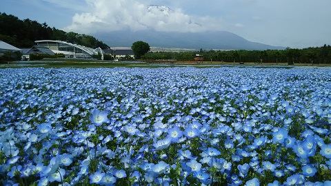 2019/06/04の写真