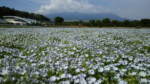 2019/06/04の写真