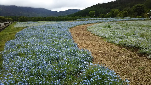 2019/06/11の写真