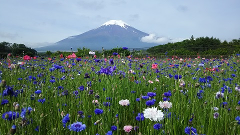 2019/06/14の写真