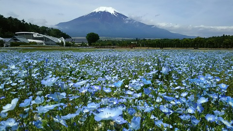 2019/06/14の写真