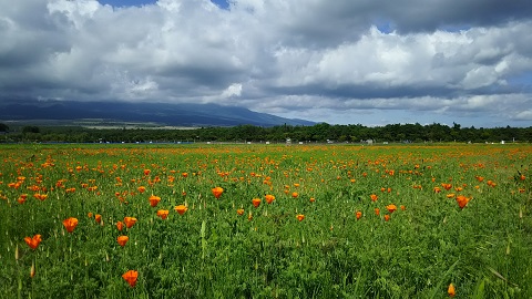 2019/06/18の写真