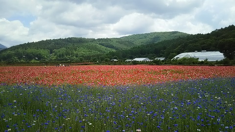 2019/06/18の写真