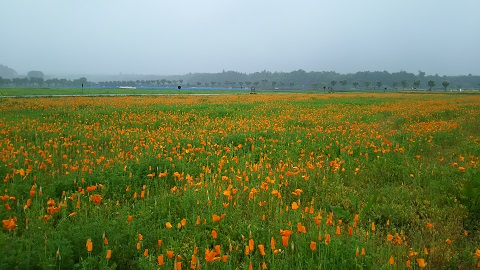 2019/06/22の写真