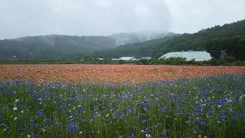 2019/06/22の写真