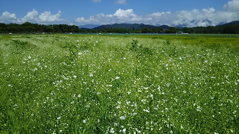 2019/06/25の写真