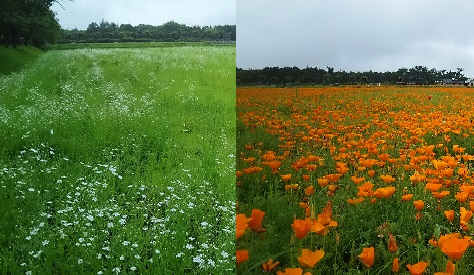 2019/06/29の写真