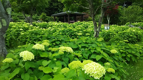 2019/07/08の写真