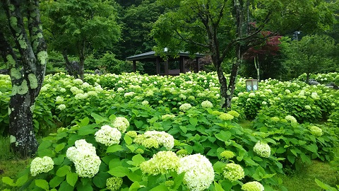 2019/07/14の写真