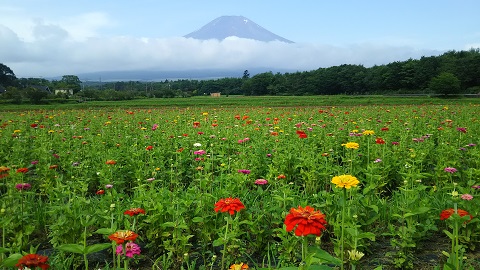 2019/07/18の写真