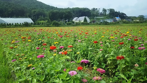 2019/07/18の写真