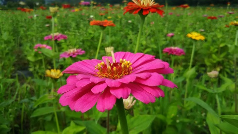 2019/07/18の写真