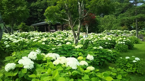 2019/07/18の写真