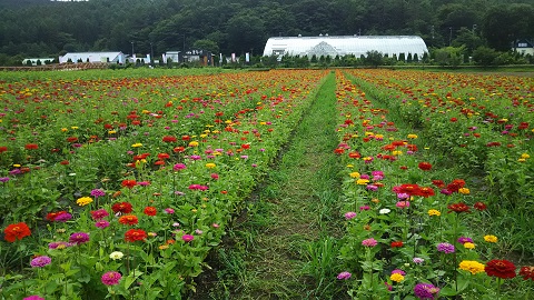 2019/07/22の写真