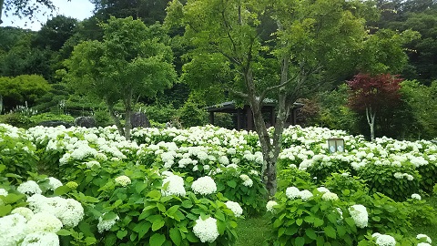 2019/07/26の写真