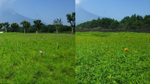 2019/07/30の写真