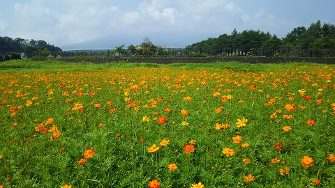 2019/08/02の写真