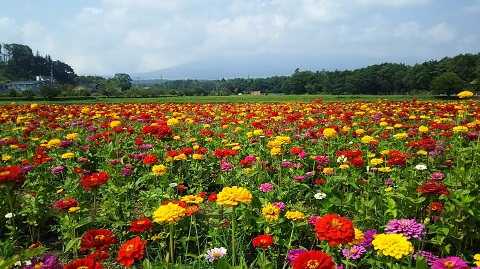 2019/08/02の写真