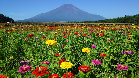 2019/08/05の写真