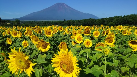 2019/08/05の写真