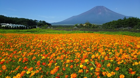 2019/08/05の写真