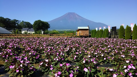 2019/08/05の写真