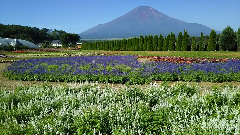 2019/08/05の写真