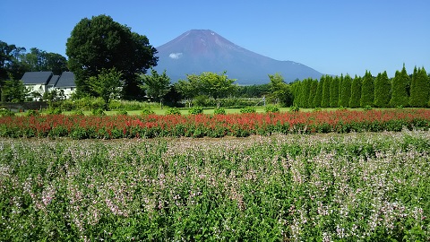 2019/08/05の写真