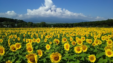 2019/08/10の写真