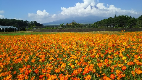 2019/08/10の写真