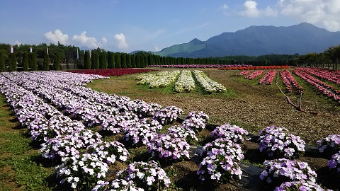 2019/08/10の写真