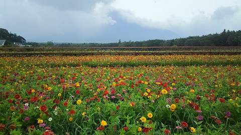 2019/08/16の写真