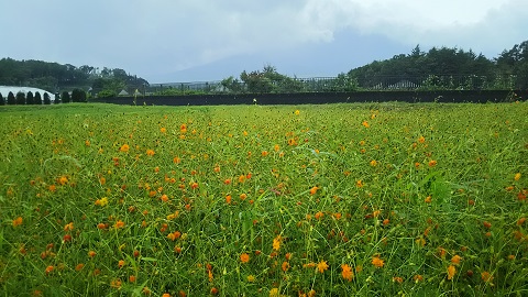 2019/08/16の写真