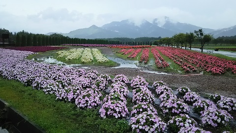 2019/08/16の写真