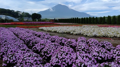 2019/08/29の写真