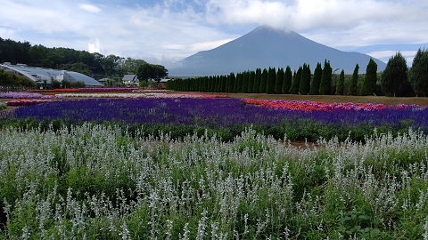 2019/08/29の写真