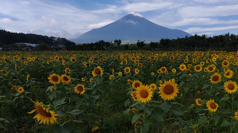 2019/08/29の写真