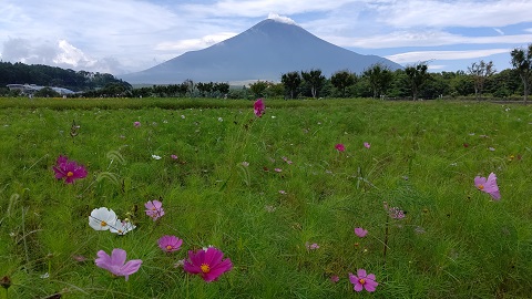 2019/08/29の写真