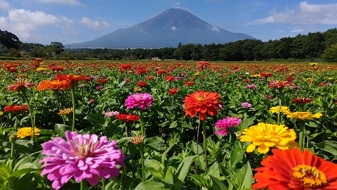 2019/09/02の写真