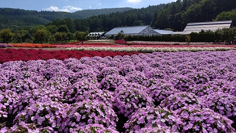 2019/09/02の写真