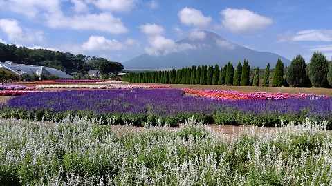 2019/09/02の写真