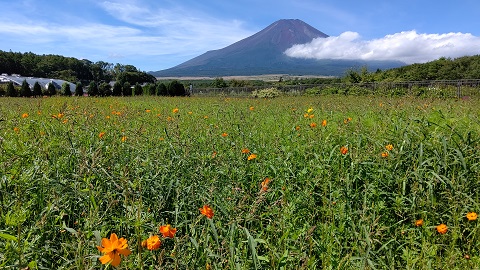 2019/09/07の写真