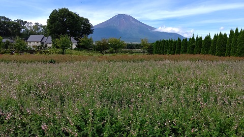 2019/09/09の写真