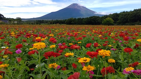 2019/09/09の写真