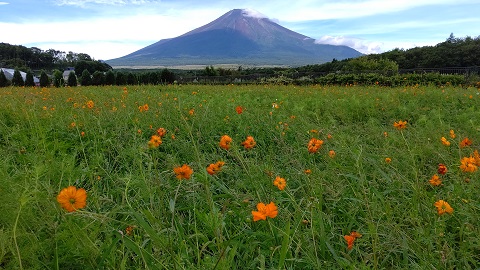 2019/09/09の写真